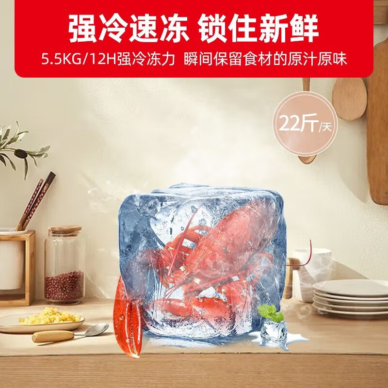 星星(XINGX) 200升家用冰柜 冷柜 商厨商用保鲜柜双温冰柜 顶开门微霜系列强冷冻力 BCD-200XR