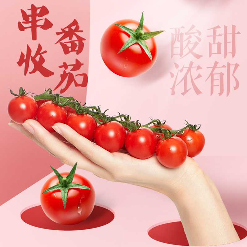 [苏宁自主品牌]苏鲜生串收番茄 198g*3盒 小番茄圣女果水果