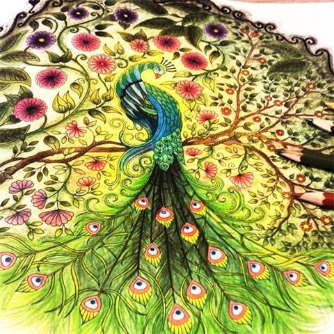 秘密花园填色书涂色书 密密花园绘画图画本儿童版童话梦境彩绘本|神秘花园8本+36色彩铅