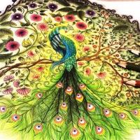 秘密花园填色书涂色书 密密花园绘画图画本儿童版童话梦境彩绘本|神秘花园8本+36色彩铅