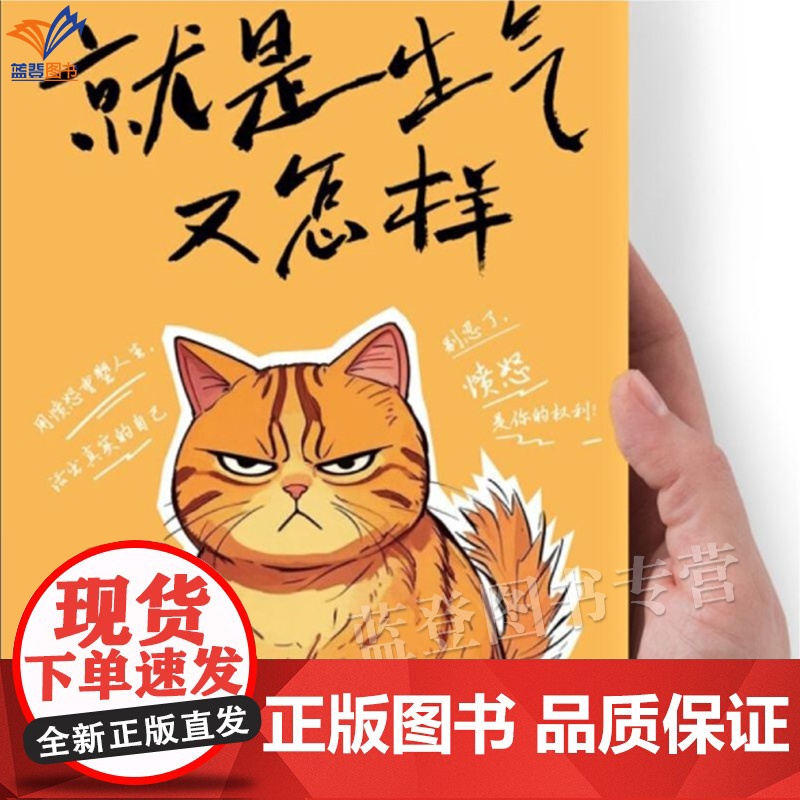 就是生气又怎样弗里德里克冯阿德卡斯正版心理励志心灵疗愈用愤怒重塑人生活出真实的自己成功励志情商情绪管理心理学东方出版高清大图