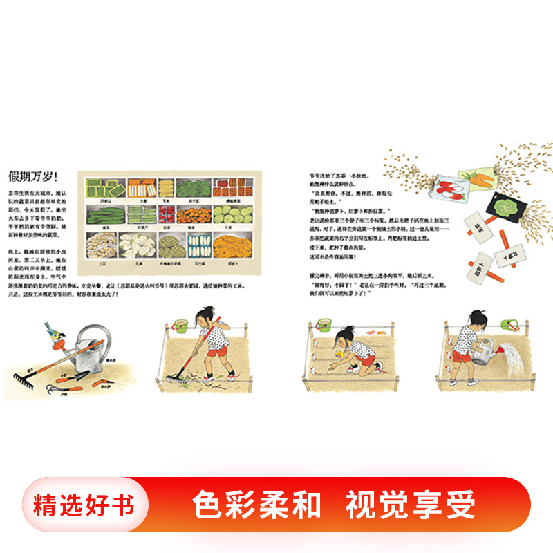 单本全册 [正版]它们是怎么长出来的硬壳精装绘本图画书让城市里的孩子亲近自然了解蔬菜生长的奥秘体会劳动辛苦和收货满足蒲蒲