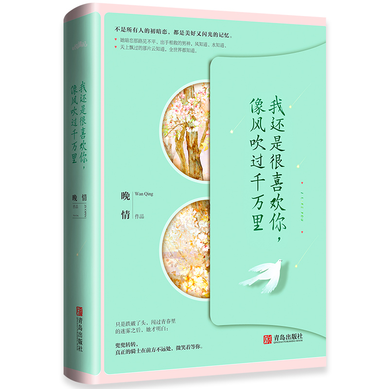 [醉染正版]我还是很喜欢你 像风吹过千万里 晚情著 小说青春文学现代言情爱情故事 刚刚好的女子 悦读纪高清大图