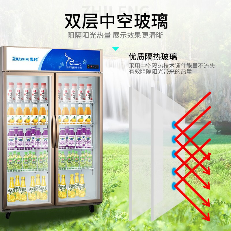 雪村(Xuecun)二门 商用冷柜 商用展示柜 冰柜 立式水果保鲜柜 超市啤酒饮料柜 陈列柜LC-1200