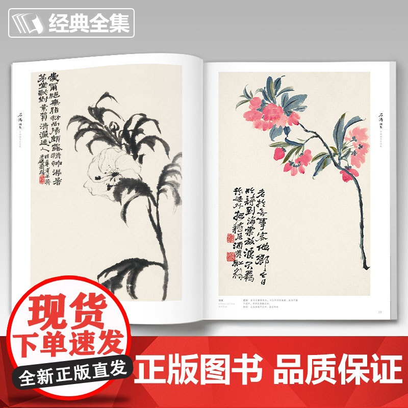 2020新书 石涛画集 8开中国画临摹画册书籍技法教材花卉竹山水书sh高清大图