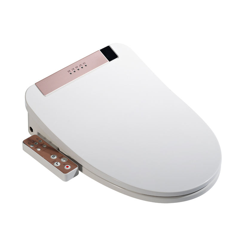 德国全自动家用智能马桶盖即热式坐便器遥控盖板冲洗洁身器