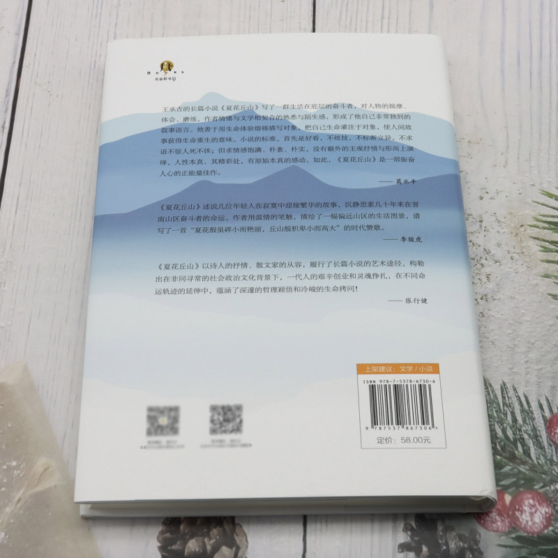 [正版]夏花丘山 王承吉 写了一群生活在底层的奋斗者,对人物的揣摩、体会、磨练,作者情绪与文学相契合的熟悉与陌生感