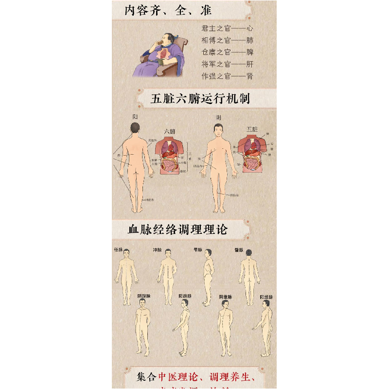 正版新书]漫画中医瞿岳云 著 杨玉 绘9787571924591高清大图