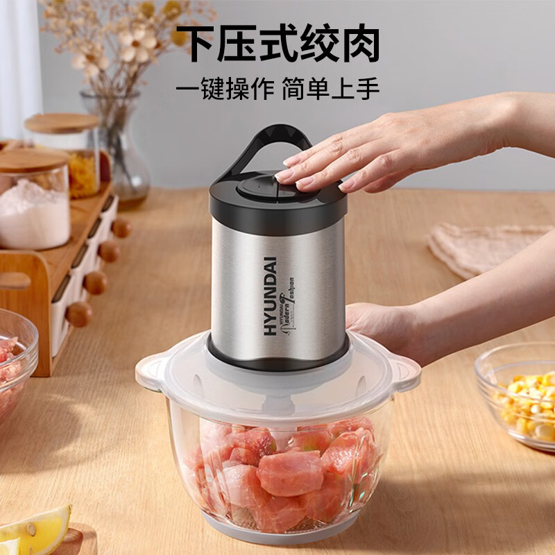 HYUNDAI韩国绞肉机家用 电动绞馅 搅拌打肉饺子肉馅蒜蓉机 不锈钢搅肉机 【玻璃碗+四叶刀头】 2L