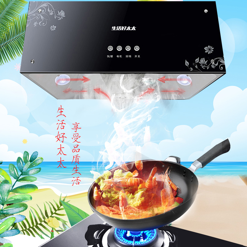生活好太太 抽油烟机单机大吸力吸油烟机免拆洗中式油烟机顶吸式按键式排烟机 CXW-230-Y908