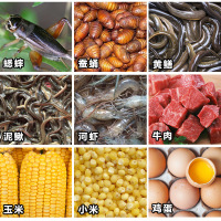 靛颏鸟食红靛颏鸟食饲料营养蓝灯蓝红点颏相思鸟腾鸟粮1200ml