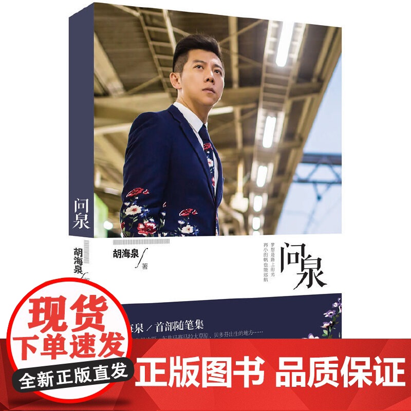 问泉(“羽泉”之胡海泉随笔集,记录他出道15年来的自我寻找。一起遇见那个随遇 胡海泉 人民文学出版社 正版书籍