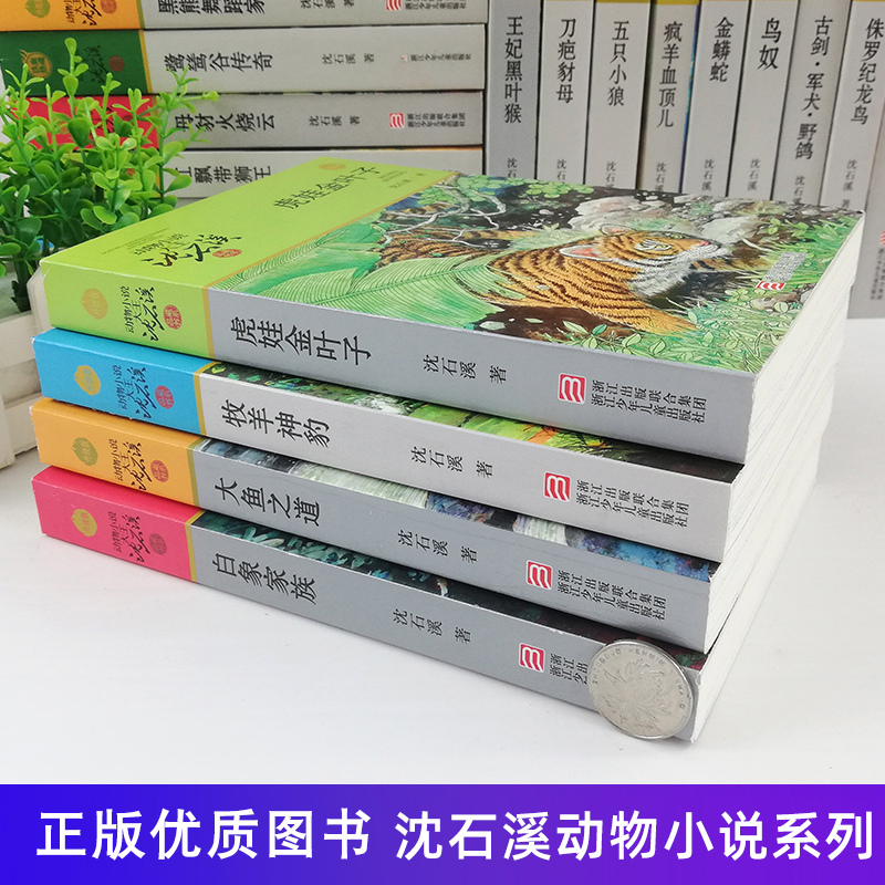 残狼灰满 [正版]沈石溪动物小说大王品藏书系全集十大经典狼王梦后一头战象狼国女王斑羚飞渡红飘带狮王第七条猎狗白象家族精品
