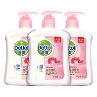 泡沫洗手液 TA0040 家用抑菌消毒液500ML(单位:瓶)
