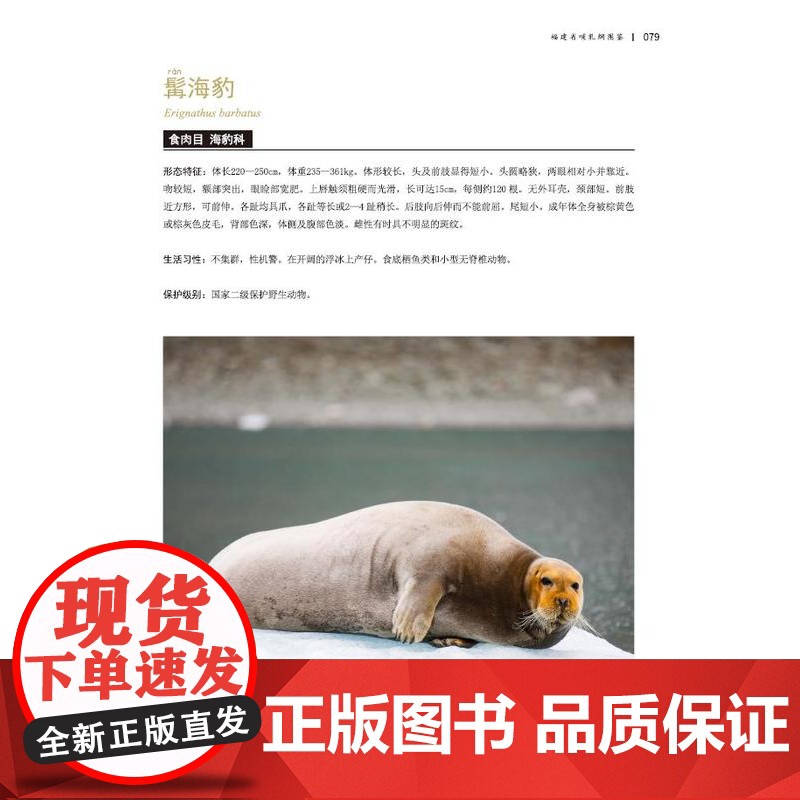 [店]福建省哺乳纲图鉴高清大图