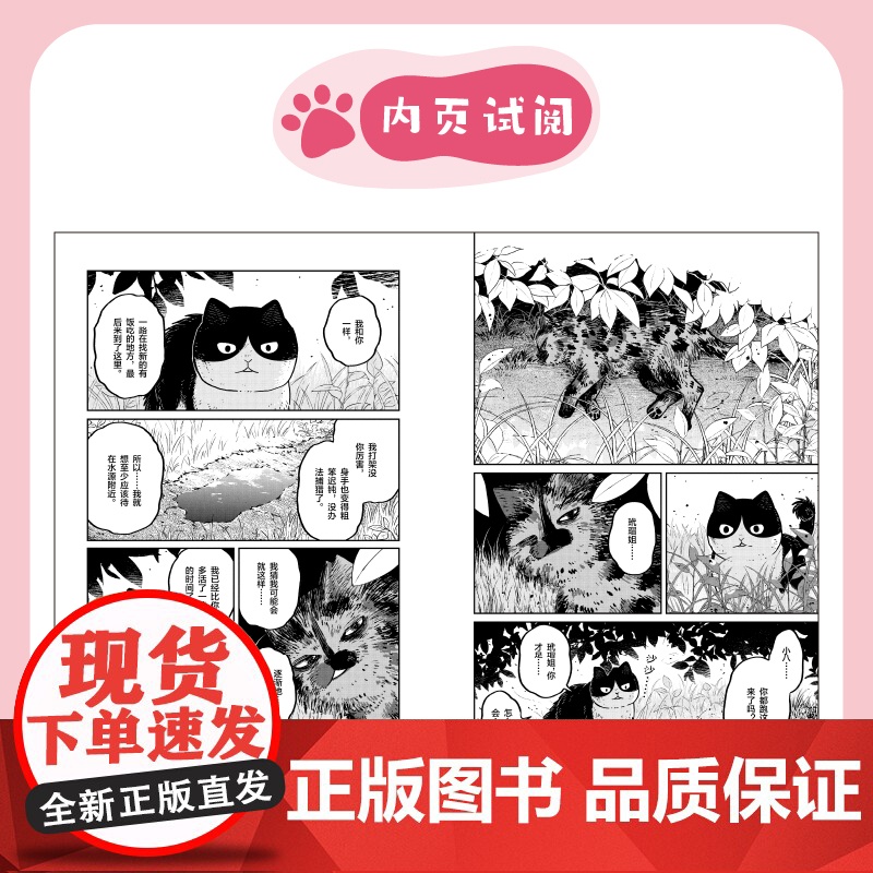正版[送 书签*4+杯垫*4]结伴猫 路路和小八漫画1-2册 园田友里温暖人心的动物主题中文简体漫画二次元流浪猫的故高清大图