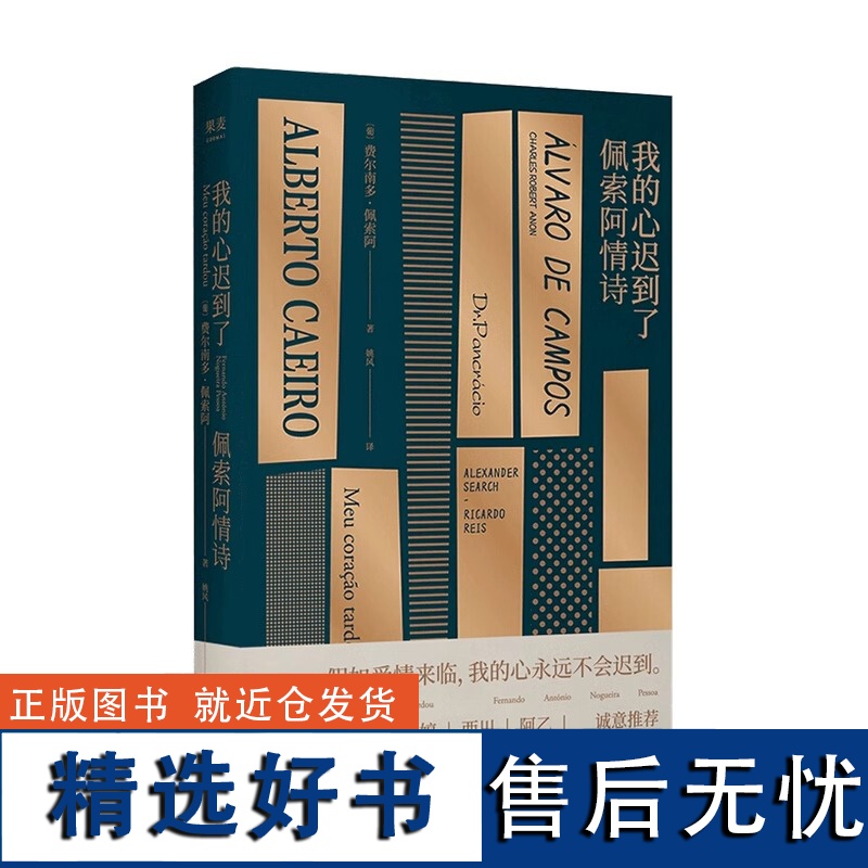 我的心迟到了 佩索阿情诗 葡萄牙国宝级诗人 佩索阿情诗集 诗歌 爱情 情诗 外国文学 经典 北岛 舒婷 西川 阿乙高清大图