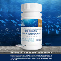 国珍松花粉海洋鱼胶原低聚肽片 增强免疫力