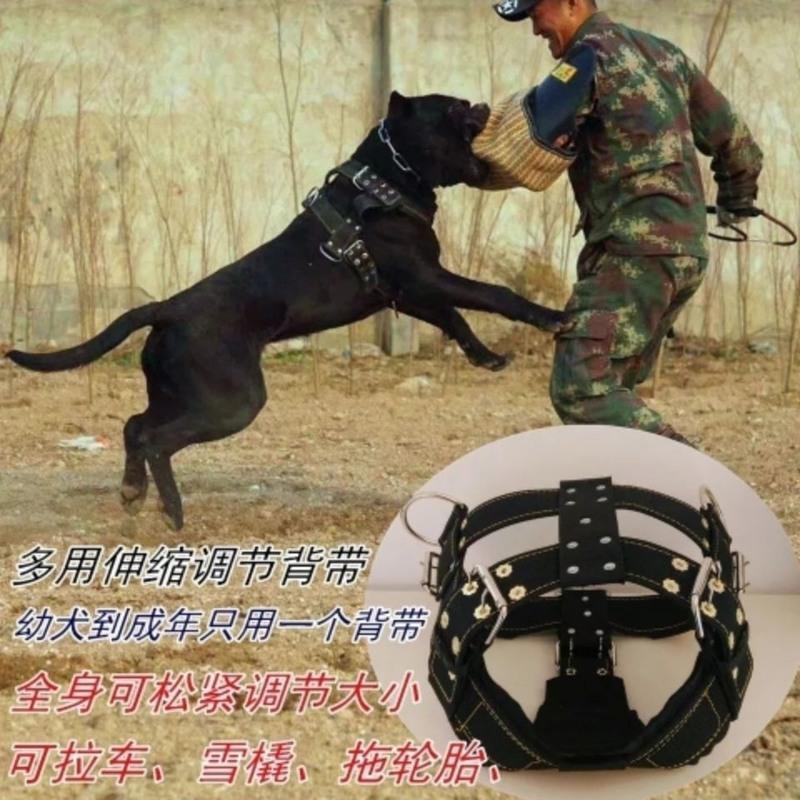 黑色双排扣背带 M-中型适合30-60斤狗用 比特斗狗杜高狗用拖重训练背带猛犬通用拖重栓狗遛狗训练装备胸带