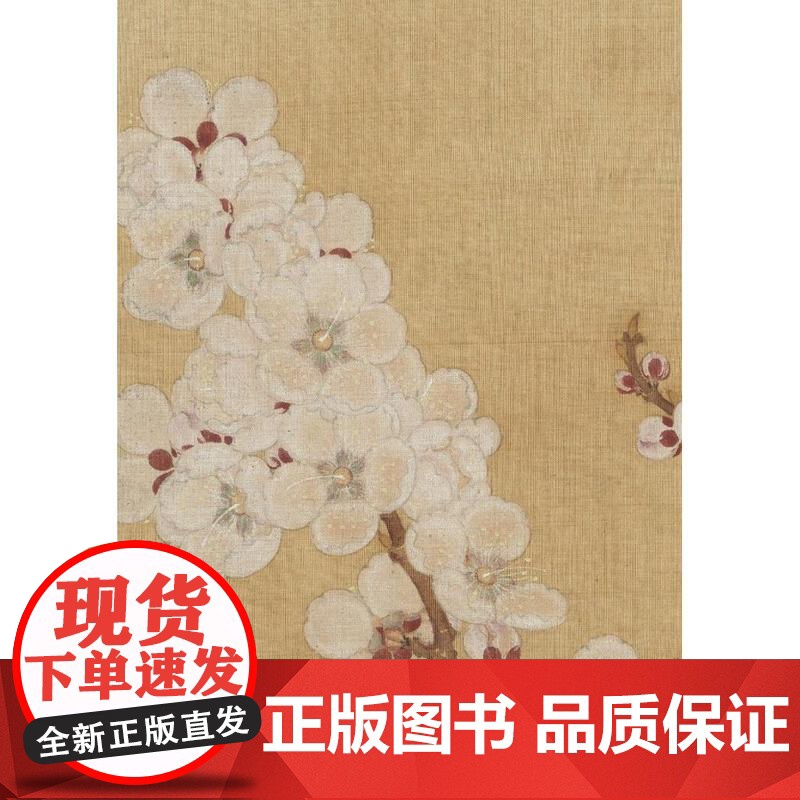 经典工笔画临摹技法详解:花鸟高清大图