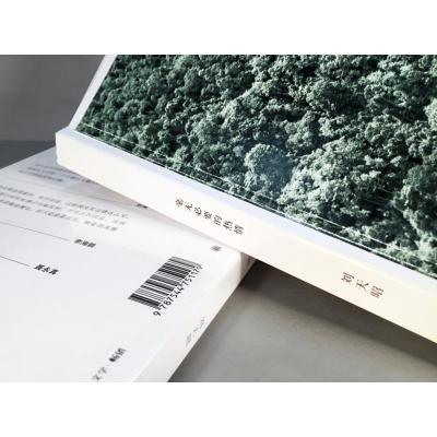 毫无必要的热情 第四届单向街书店文学奖 年度青年作者 刘天昭随笔作品 刘瑜 蒋方舟 罗永浩 译林出版L