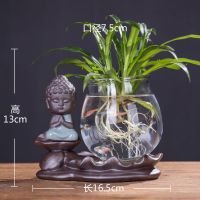 新品创意摆件迷你玻璃透明水培绿萝客厅茶几家居陶瓷桌面花瓶|哥窑花器【水芝】-如来【送文竹】