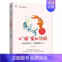 从“炼”爱到结婚——恋爱依眼力,好婚姻靠心力 [正版]从炼爱到结婚 恋爱依眼力 好婚姻靠心力 吴文君 电子工业出版社 婚
