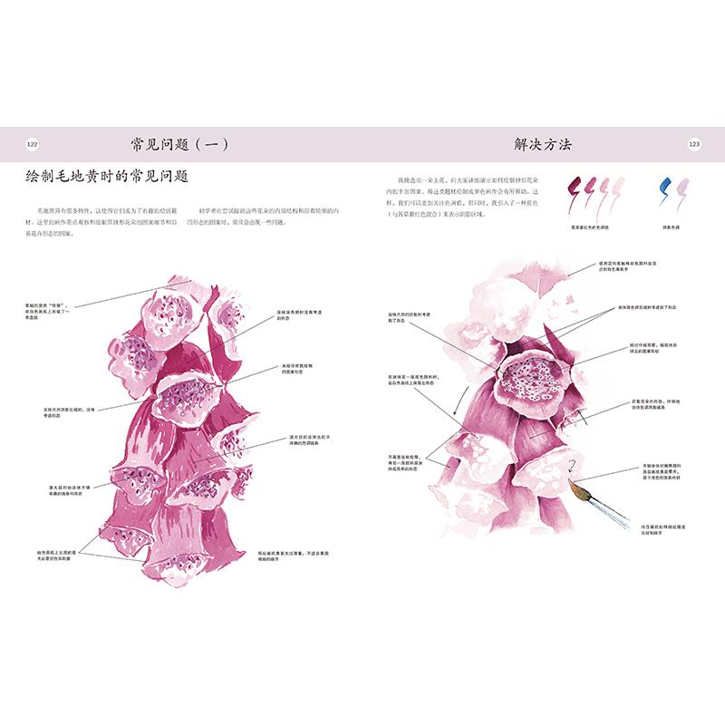 醉染图书绘画问题解答 风景·花卉·动物轻松画9787559204899高清大图