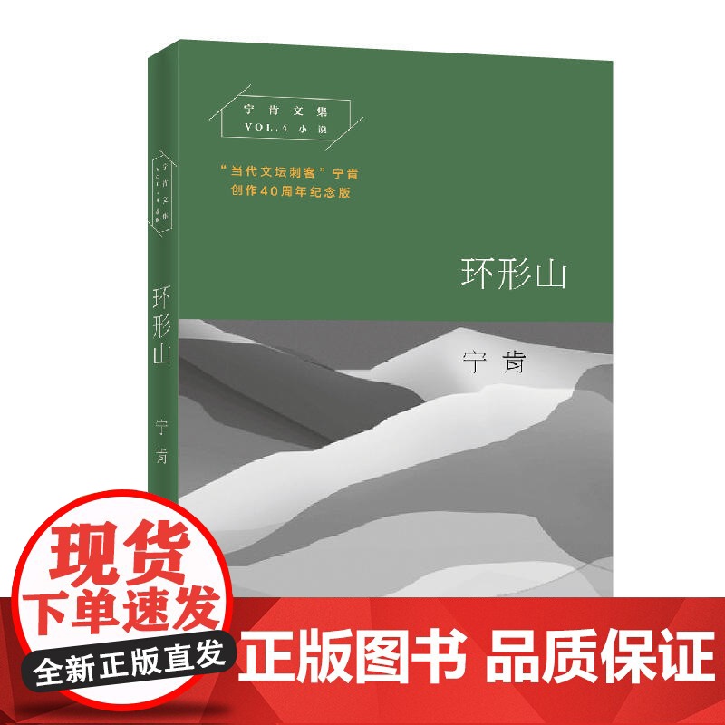 环形山(宁肯文集)高清大图