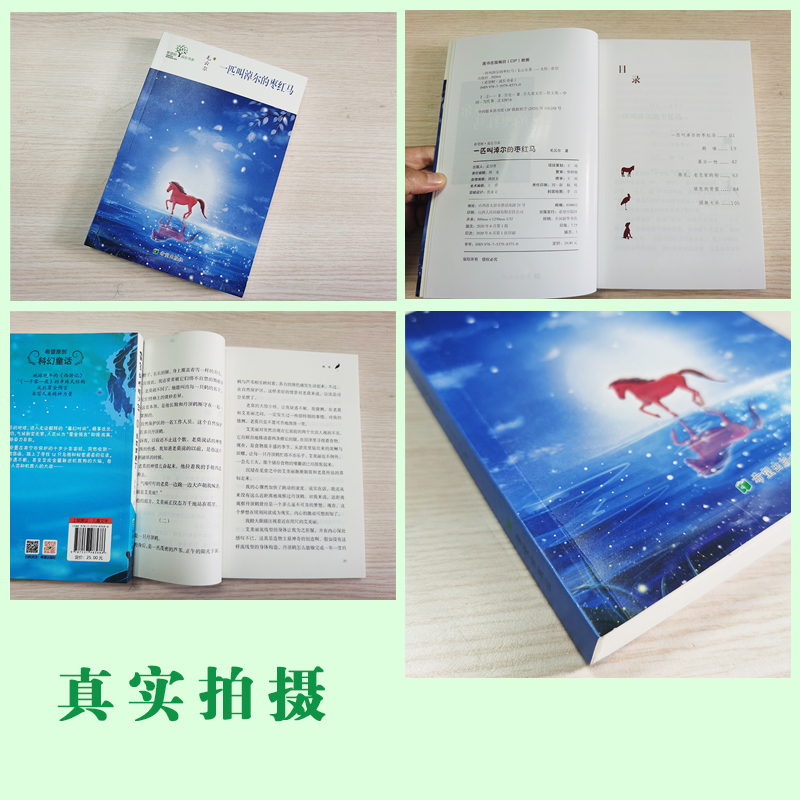 醉染图书一匹叫淖尔的枣红马9787537983730高清大图