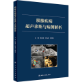 胰腺疾病超声诊断与病例解析