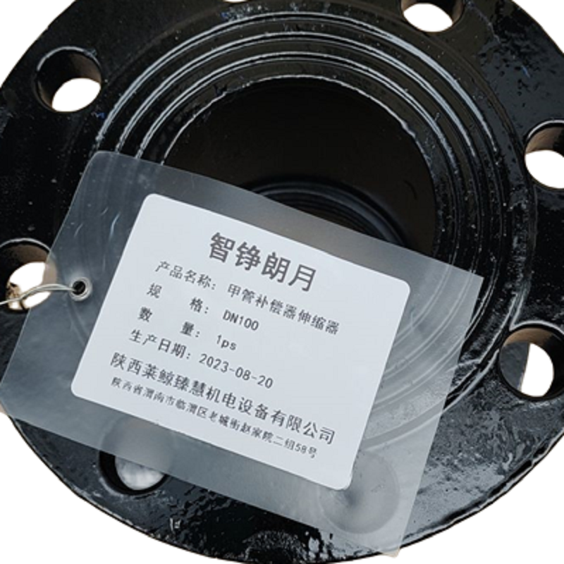 智铮朗月 甲管补偿器 DN100 个高清大图