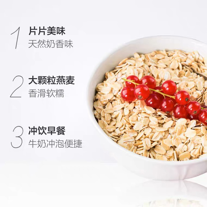 【临期清仓】欧洲进口 三特sante 快熟原味燕麦片500g 无添加粗粮燕麦营养谷物早餐