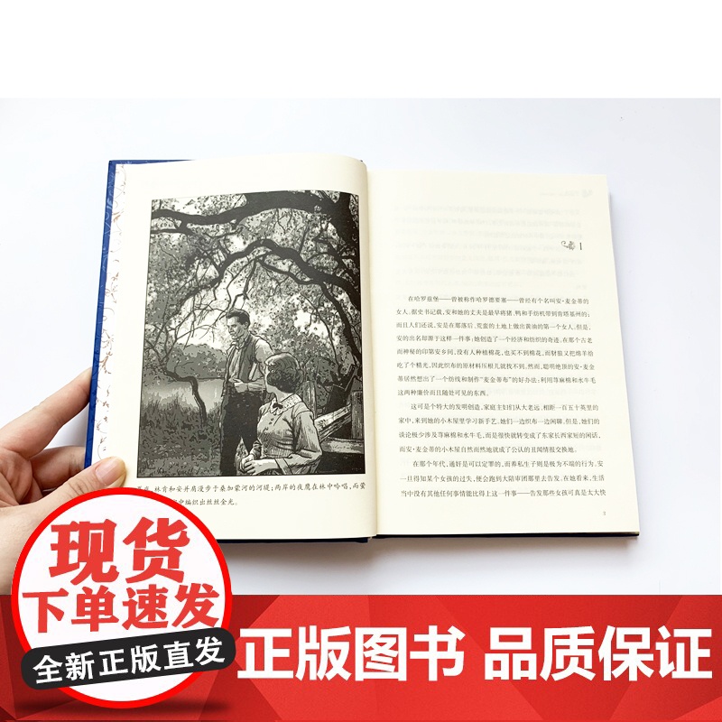 经典译林 林肯传 戴尔·卡耐基经典作品 中文全译本林肯自传传记世界伟人历史人物传记美国总统励志故事丛书名人励志书籍FXY高清大图