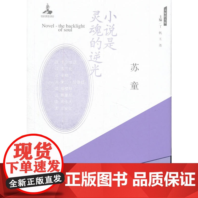小说是灵魂的逆光 苏童 人民文学出版社 正版书籍高清大图