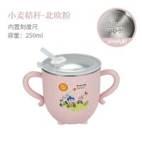 304不锈钢儿童水杯带手柄家用防摔喝水杯幼儿园卡通带盖吸管水杯 北欧粉+吸管+吸管刷 普通小麦内胆 没杯刷