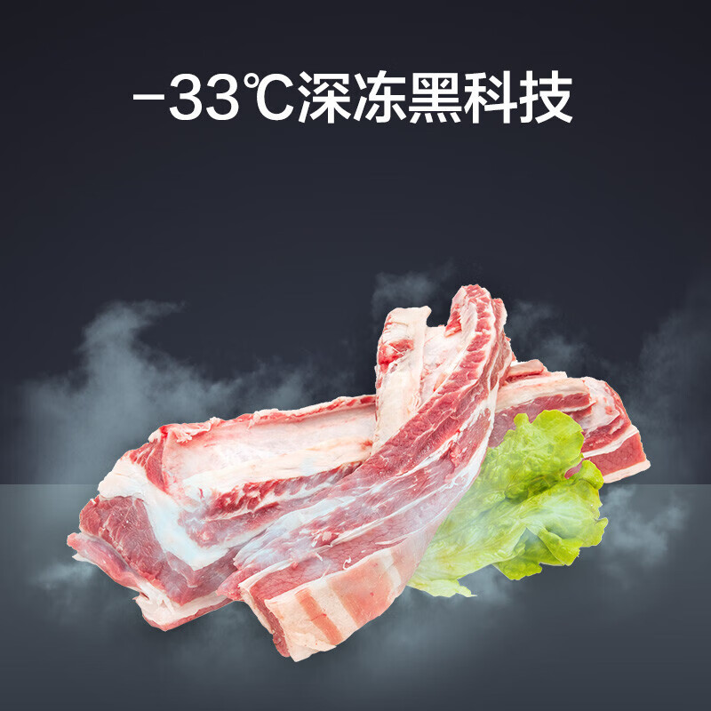 格力(GREE) 421升十字对开门大容量风冷无霜变频钢化玻璃面板-33°深冻魔法冰箱BCD-421WPQG/闪烁金