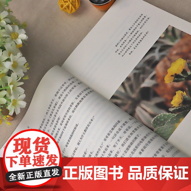 林清玄散文精选 彩插正版 名家散文典藏 中国现当代名家散文随笔 作品选集 初高中寒暑假课外阅读书目 无关风月咫尺千里槟榔高清大图