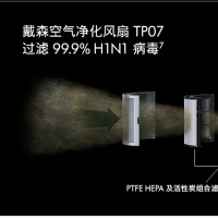 [预售]戴森(DYSON) TP09 除菌除甲醛空气净化风扇 整屋循环净化 兼具空气净化器功能 落地风扇 电风扇 白金色