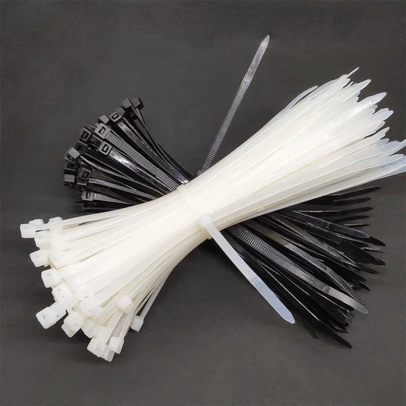 赫德世嘉(HEARDSGA)自锁式尼龙扎带 4*300 250根/包(5包起订)图片