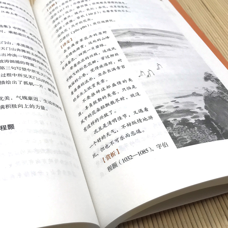 [正版]大国学-飞花令全鉴 唐诗宋词全集鉴赏辞典赏析中国文学古典浪漫诗词大会书籍中小学生国学经典课外书籍中国文学古典浪