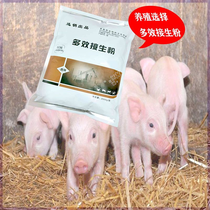 仔猪接生粉兽用母猪乳猪爽身粉羔羊消毒粉干燥剂消毒剂小猪接生粉 仔猪接生粉兽用母猪乳猪爽身粉羔羊消毒粉干燥剂消毒剂小猪接生