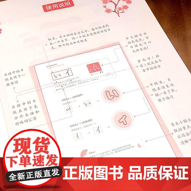 会中文就会日语日语 学日语的书 日语书 零基础入门自学教材日语自学教程日语基础学习书籍高清大图