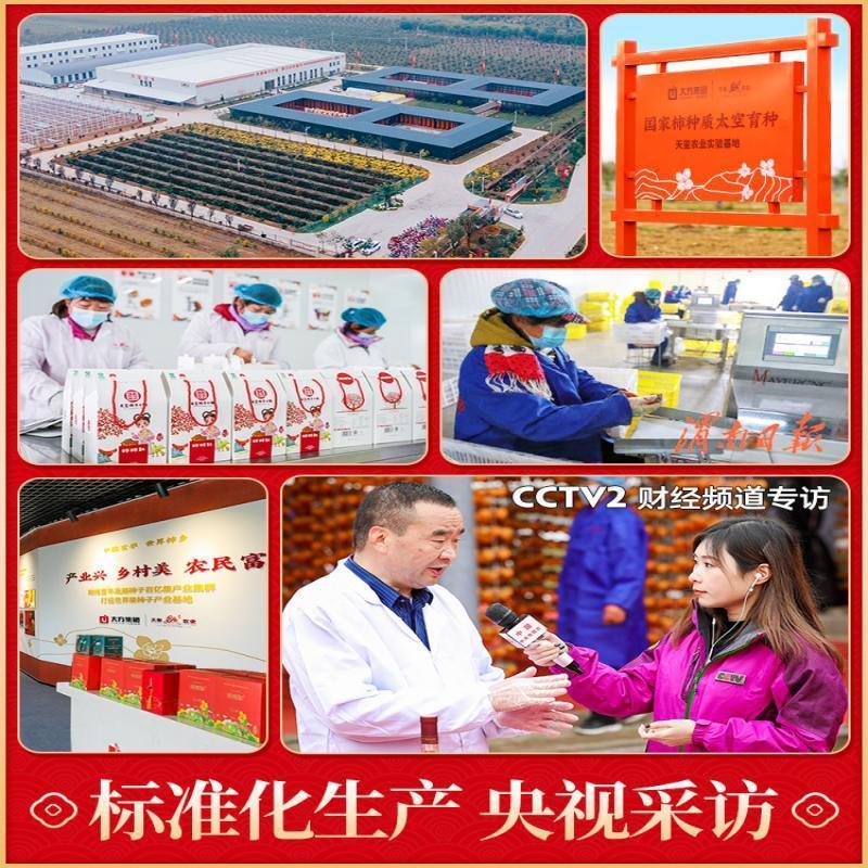 柿柿红正宗陕西富平柿饼霜降柿饼流心糖吊柿干富平柿饼独立包装 [IP柿公主手提]富平柿饼500g*4盒高清大图