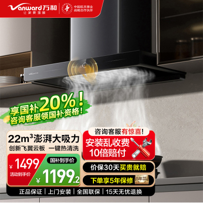 万和欧式油烟机22m³CXW-380-X739A