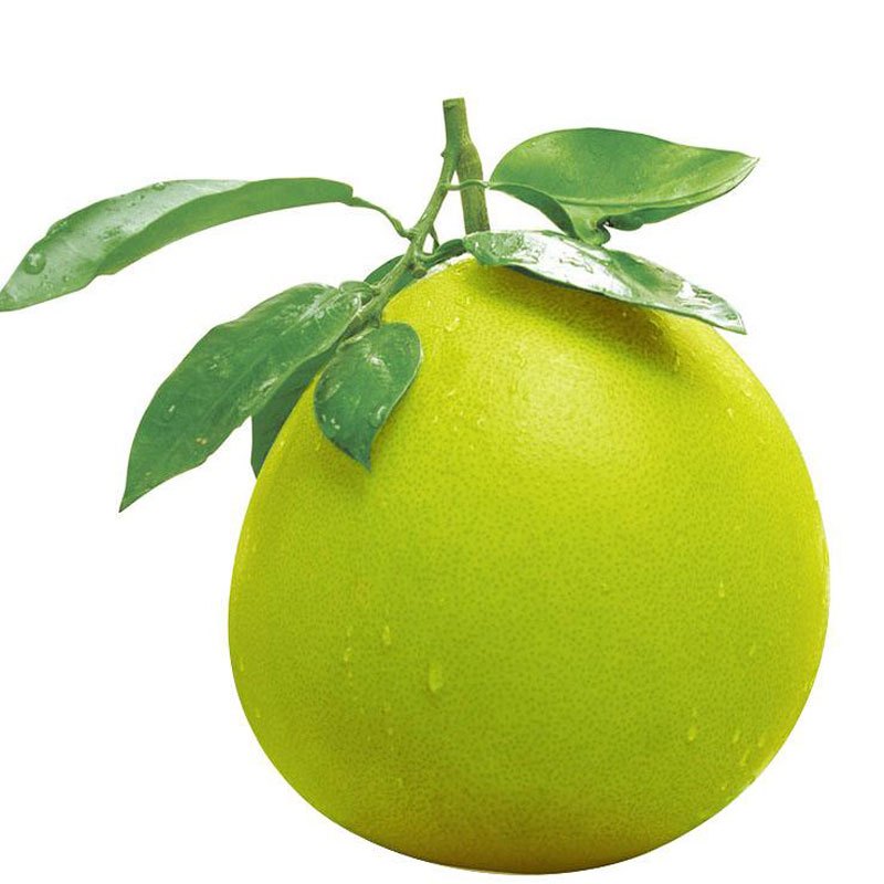 鲜果悦动琯溪红白心蜜柚新鲜水果红白肉柚子福建管溪平和蜜柚