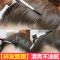 碎发棒3支 碎神器碎膏小碎整理膏固定清爽毛碎棒头防毛燥定型膏
