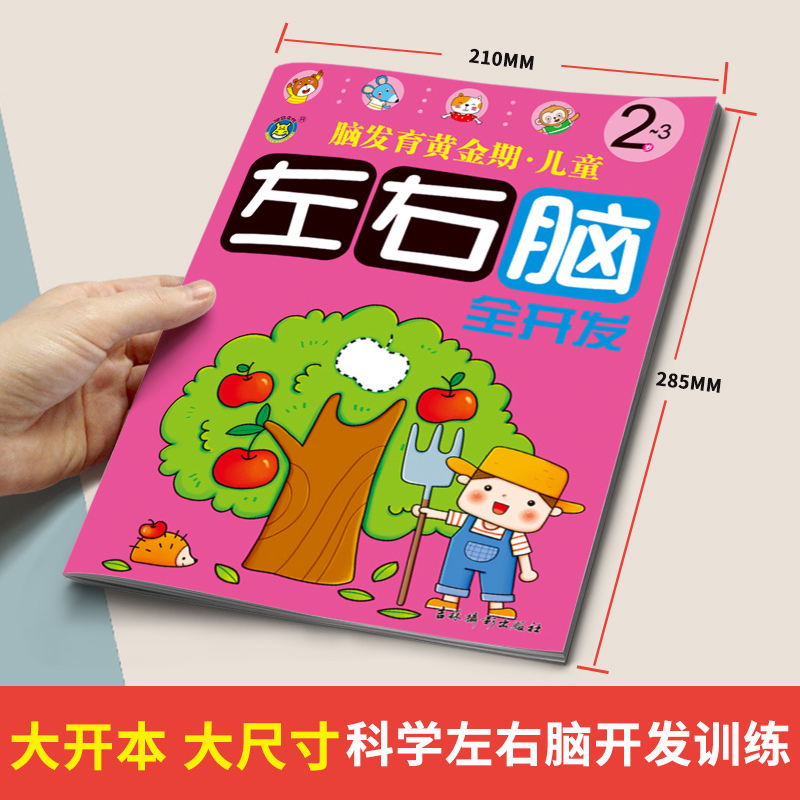 [正版]2-3岁儿童左右脑全脑智力开发抓住脑发育黄金期均衡开发大脑潜能逻辑思维训练书三两岁宝宝书籍益智早教书本专注力记