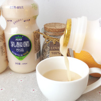 荷润 乳酸菌饮品 340ml 12瓶装 早餐奶原味饮料 聚会酒席饮品