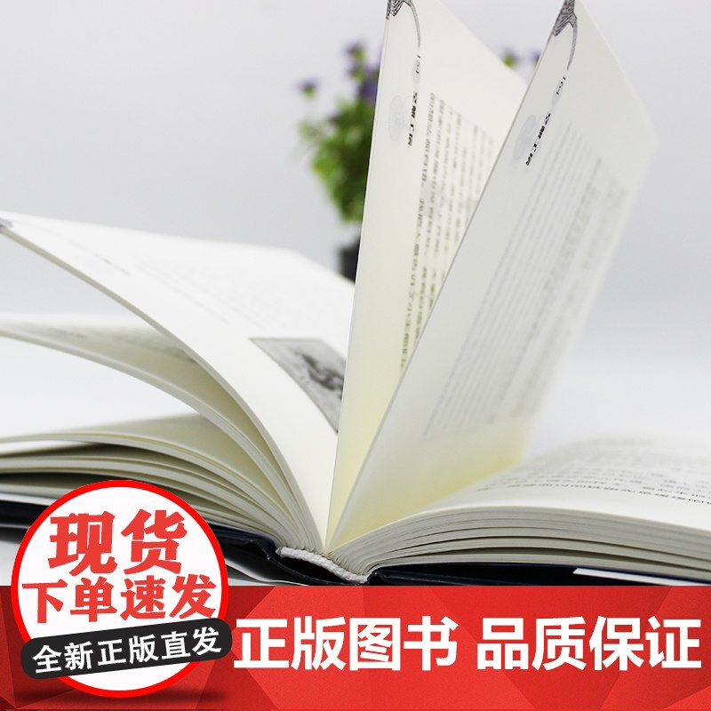 安野光雅:空想工房 安野光雅 台海出版社 正版书籍高清大图